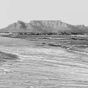 Sonja Myburgh Photography: dog walker shop image