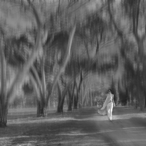 Sonja photo art trees photo potrait